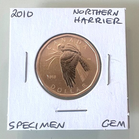 2010, 2010, 2011 and 2011 Canada Special Edition Specimen $1 Dollar Loonies! - Picture 5 of 10